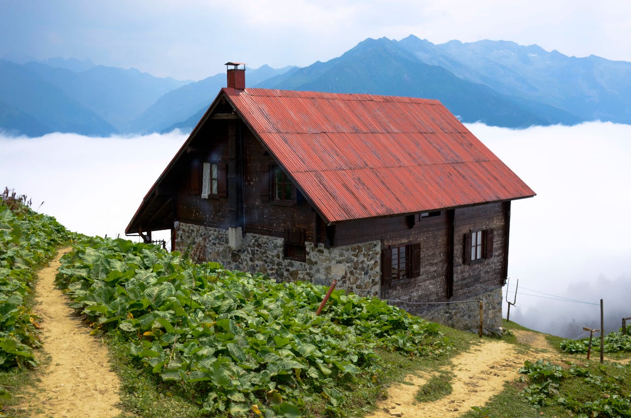 A house on a hill