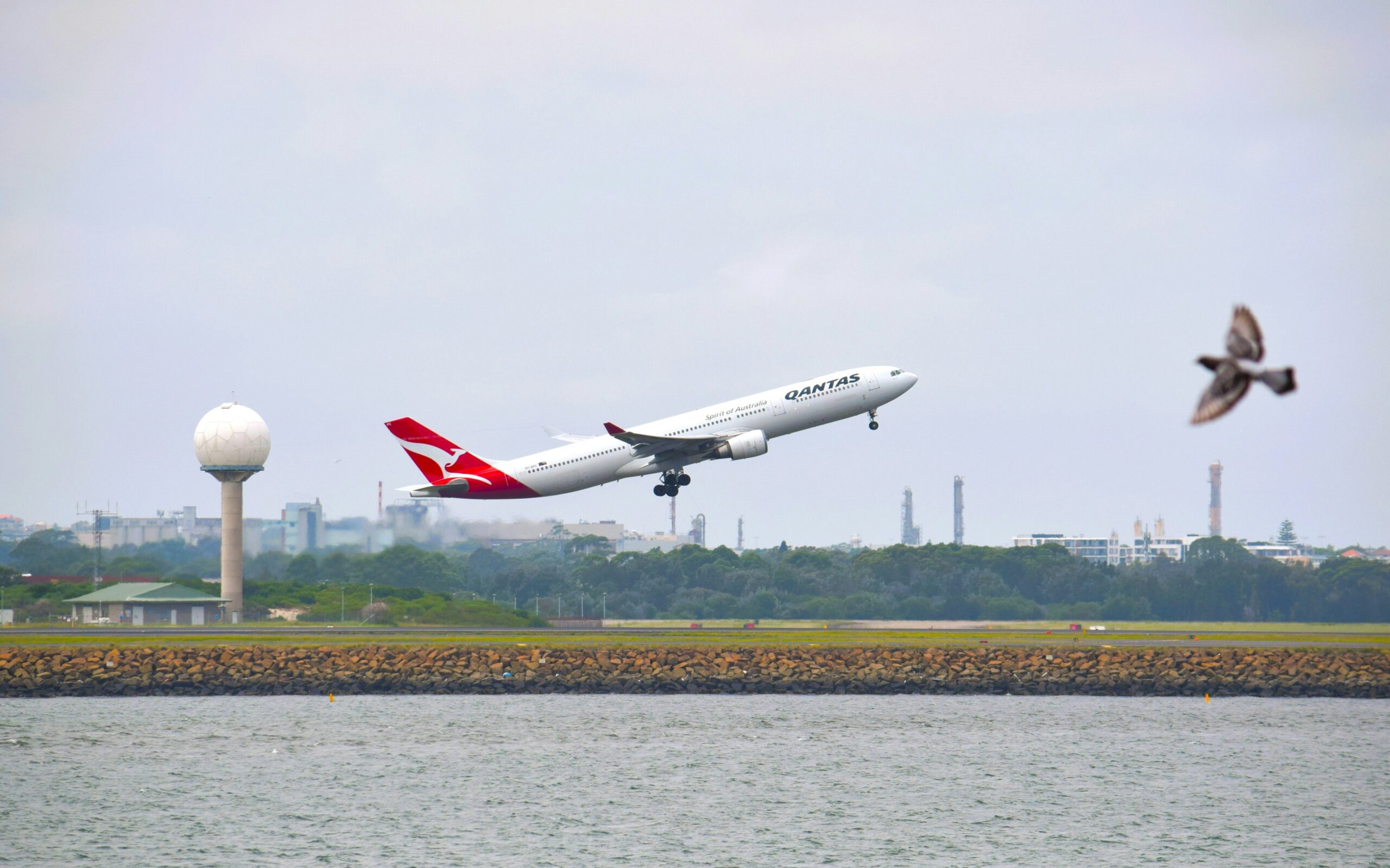 Qantas airplane.