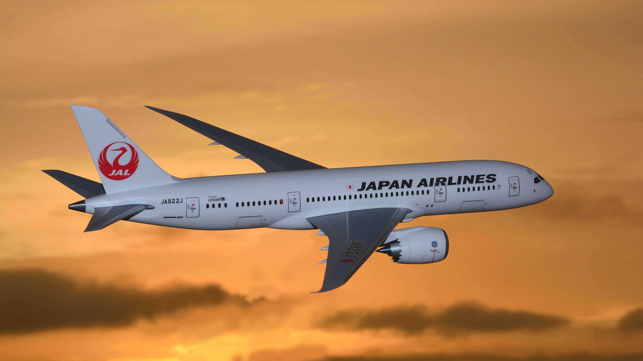 Japan Airlines plane