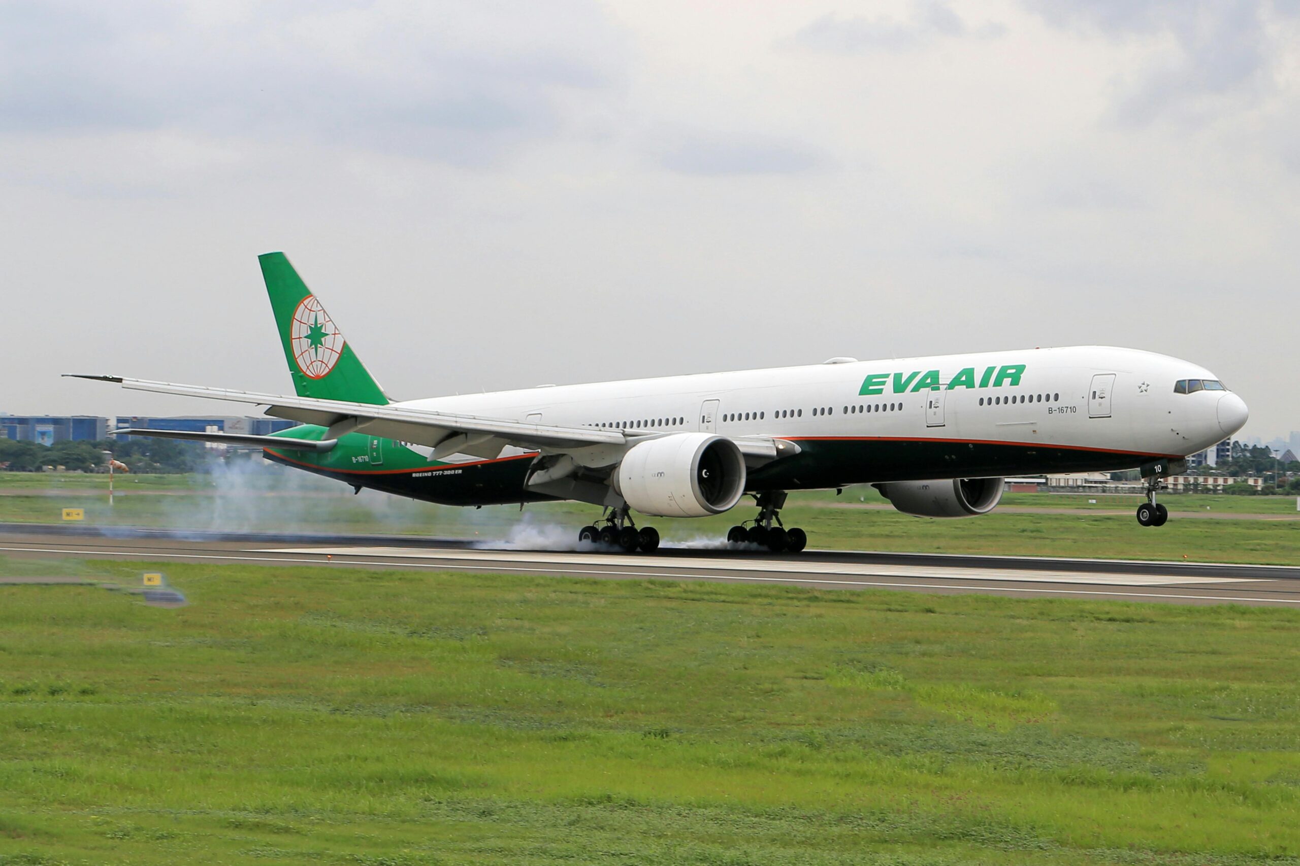 An Unbelievable Disruption: Bird Invades EVA Air Flight Cabin – Here’s What You Need to Know