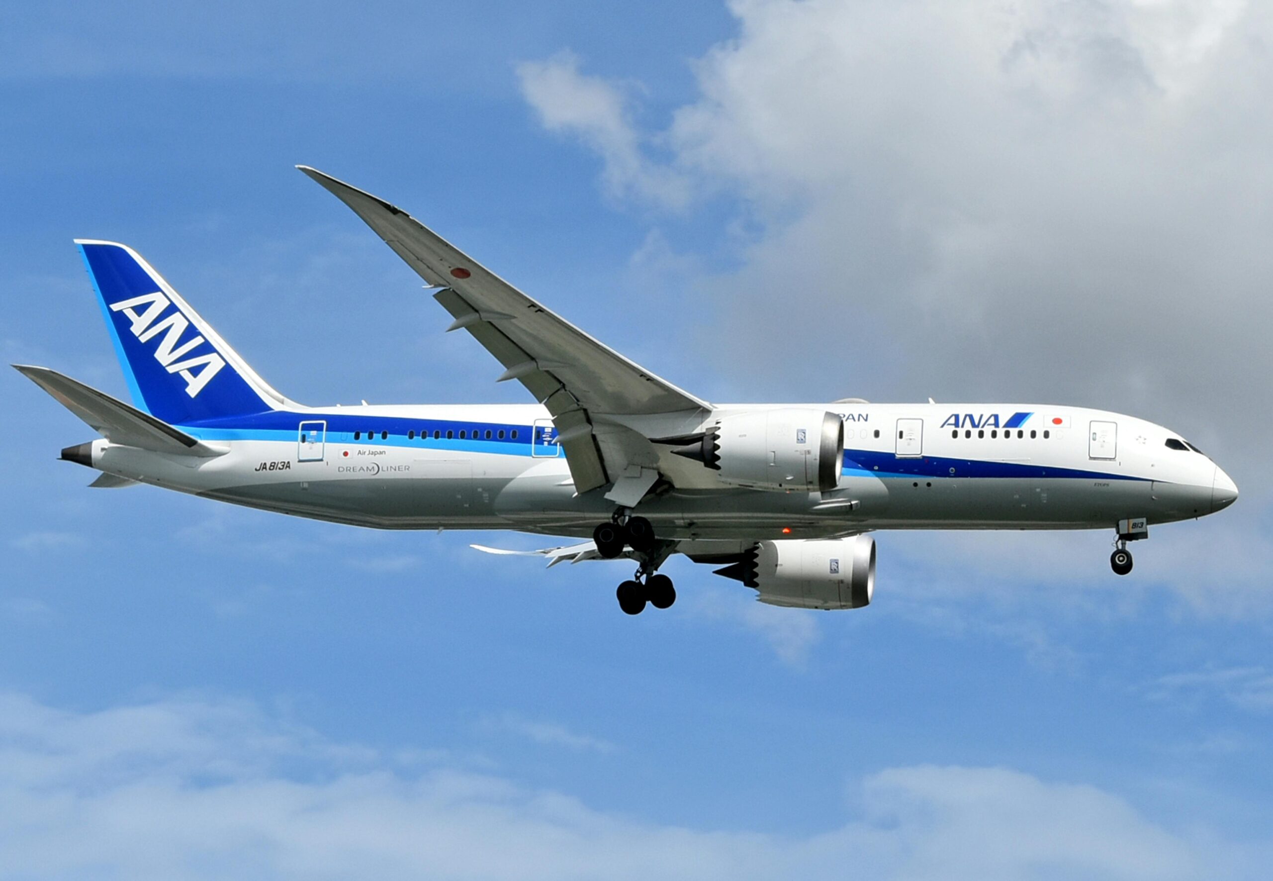 ANA Airlines plane