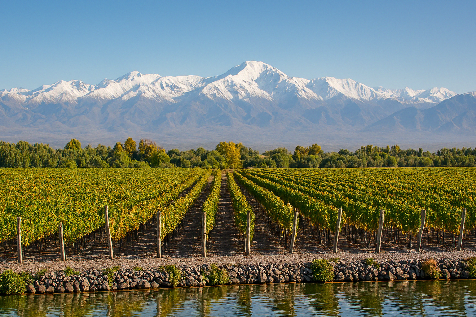 Discover the Most Charming Weekend Wine Trails Worldwide