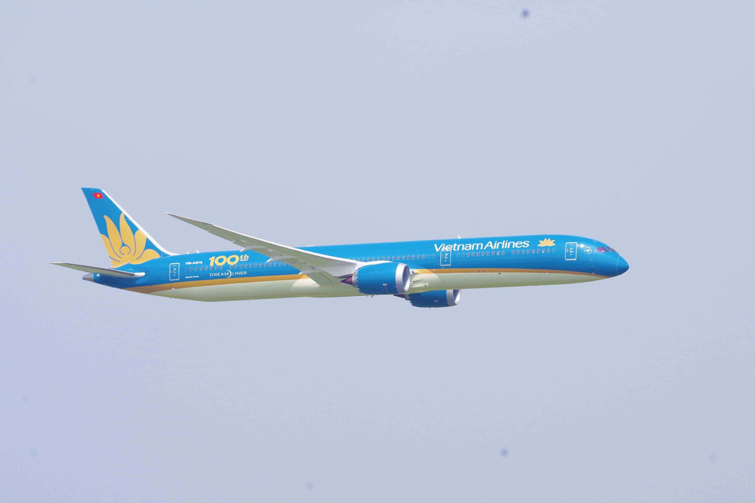 Vietnam Airlines plane